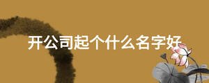 開公司起個(gè)什么名字好