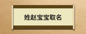 姓趙寶寶取名
