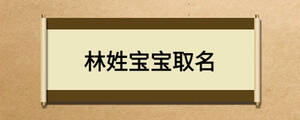 林姓寶寶取名