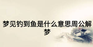 夢見釣到魚是什么意思周公解夢
