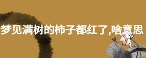 夢(mèng)見(jiàn)滿樹(shù)的柿子都紅了,啥意思