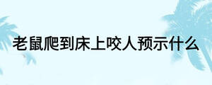 老鼠爬到床上咬人預(yù)示什么