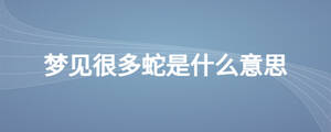 夢(mèng)見(jiàn)很多蛇是什么意思