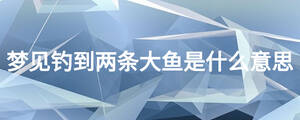 夢(mèng)見(jiàn)釣到兩條大魚(yú)是什么意思
