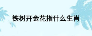 鐵樹開金花指什么生肖