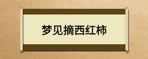 夢(mèng)見摘西紅柿