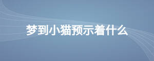夢到小貓預示著什么