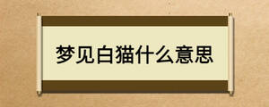 夢(mèng)見(jiàn)白貓什么意思