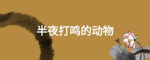 半夜打鳴的動物