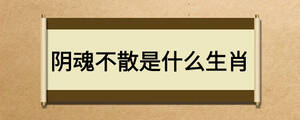 陰魂不散是什么生肖