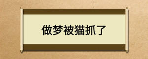 做夢被貓抓了