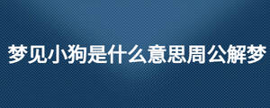 夢(mèng)見(jiàn)小狗是什么意思周公解夢(mèng)