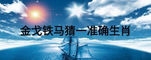金戈鐵馬猜一準(zhǔn)確生肖
