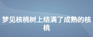 夢見核桃樹上結(jié)滿了成熟的核桃