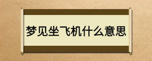 夢見坐飛機什么意思