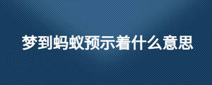 夢(mèng)到螞蟻預(yù)示著什么意思