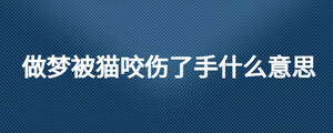 做夢(mèng)被貓咬傷了手什么意思