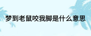 夢(mèng)到老鼠咬我腳是什么意思