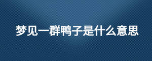 夢(mèng)見一群鴨子是什么意思