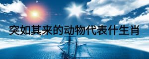 突如其來(lái)的動(dòng)物代表什生肖