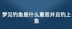 夢(mèng)見釣魚是什么意思并且釣上魚