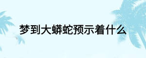 夢到大蟒蛇預示著什么