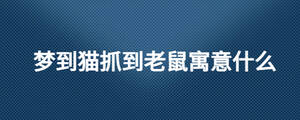 夢(mèng)到貓抓到老鼠寓意什么