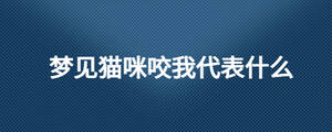 夢見貓咪咬我代表什么
