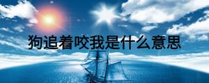 狗追著咬我是什么意思