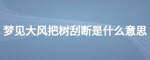 夢(mèng)見大風(fēng)把樹刮斷是什么意思