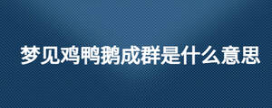 夢(mèng)見雞鴨鵝成群是什么意思