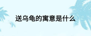 送烏龜?shù)脑⒁馐鞘裁? width=