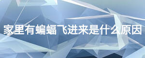 家里有蝙蝠飛進(jìn)來是什么原因