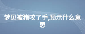 夢見被豬咬了手,預(yù)示什么意思