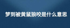 夢(mèng)到被黃鼠狼咬是什么意思