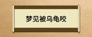 夢(mèng)見被烏龜咬