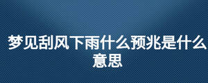 夢見刮風下雨什么預(yù)兆是什么意思