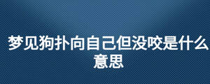 夢(mèng)見狗撲向自己但沒咬是什么意思