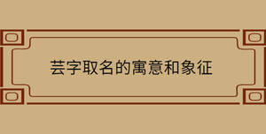 自創(chuàng) - 2022-08-31T152123.031.jpg