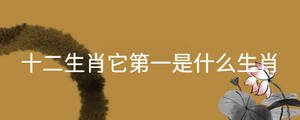 起名 - 2022-10-10T101534.322.jpg