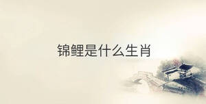 傳統(tǒng) - 2022-10-11T161835.079.jpg