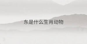 東是什么生肖動(dòng)物
