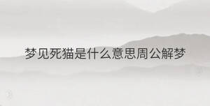 簡(jiǎn)單 - 2023-02-04T144645.167.jpg