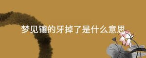 起名 - 2023-03-21T114856.083.jpg