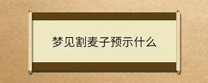 問答 - 2023-04-21T111347.622.jpg