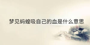 傳統(tǒng) - 2023-05-05T115854.667.jpg