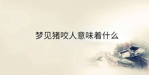 傳統(tǒng) - 2023-05-12T154404.880.jpg