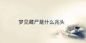 夢(mèng)見(jiàn)藏尸是什么兆頭