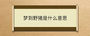 問(wèn)答 (76).jpg