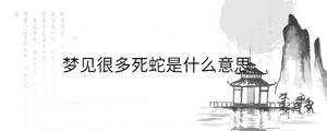 背景圖 (98).jpg